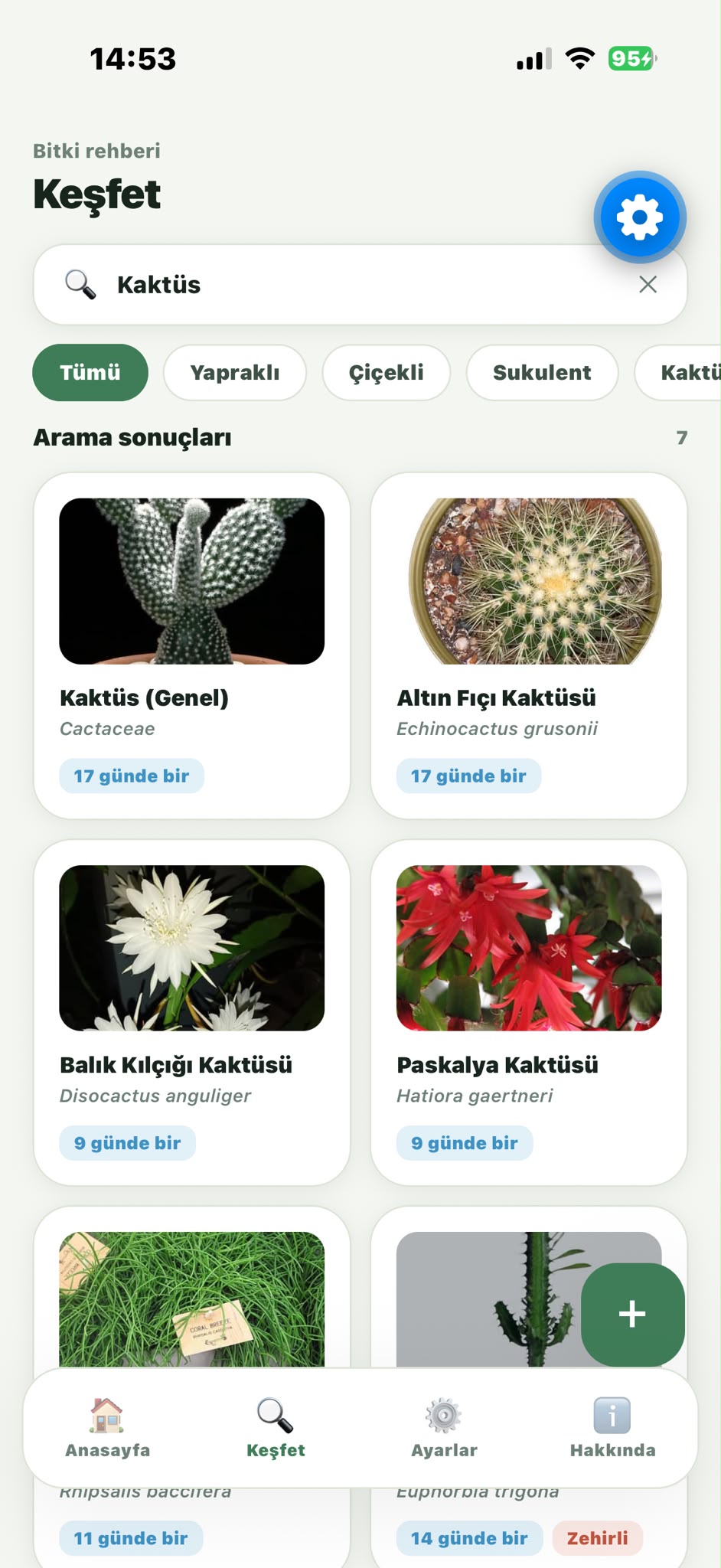 Bitkimi Suluyorum — keşfet sayfasında kaktüs araması, her sonuçta gerçek bitki fotoğrafı